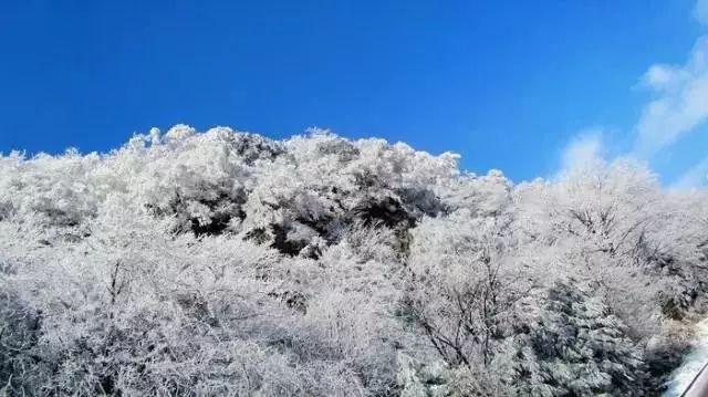 萌新水果连连看